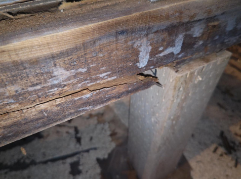 床下、大引の腐食
