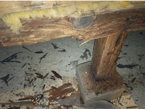 床下の木材腐食