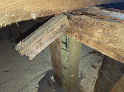 床下補強前 腐食している木