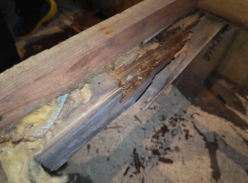 床下、大引の腐食